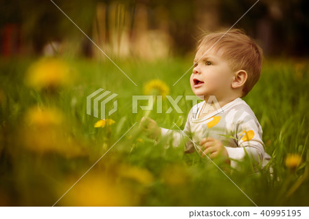 baby playing outdoor in the sunny dandelions field baby playing outdoor in the sunny dandelions field 40995195