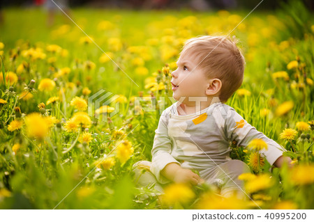 baby playing outdoor in the sunny dandelions field baby playing outdoor in the sunny dandelions field 40995200