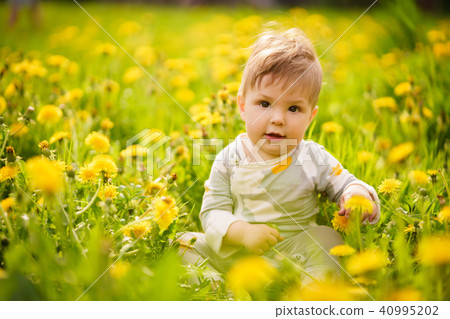 baby playing outdoor in the sunny dandelions field baby playing outdoor in the sunny dandelions field 40995202