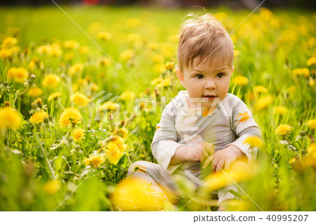 baby playing outdoor in the sunny dandelions field baby playing outdoor in the sunny dandelions field 40995207