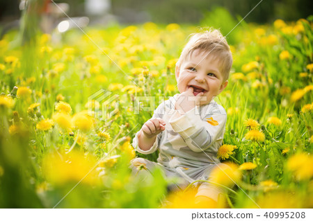 baby playing outdoor in the sunny dandelions field baby playing outdoor in the sunny dandelions field 40995208