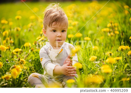 baby playing outdoor in the sunny dandelions field 40995209