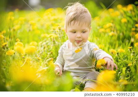 baby playing outdoor in the sunny dandelions field baby playing outdoor in the sunny dandelions field 40995210