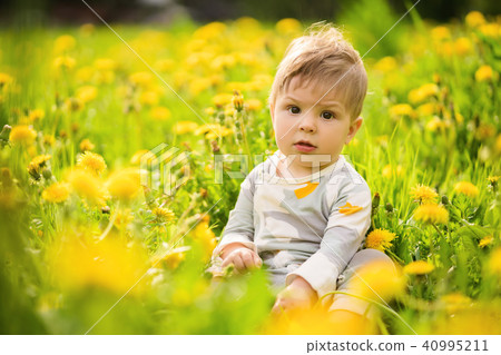baby playing outdoor in the sunny dandelions field baby playing outdoor in the sunny dandelions field 40995211