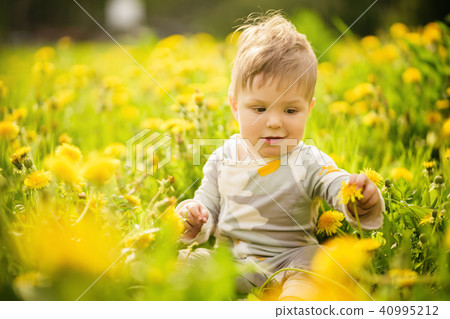 baby playing outdoor in the sunny dandelions field baby playing outdoor in the sunny dandelions field 40995212