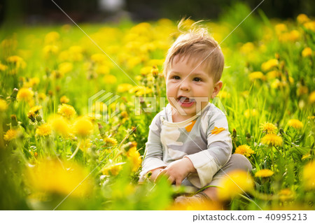 baby playing outdoor in the sunny dandelions field baby playing outdoor in the sunny dandelions field 40995213