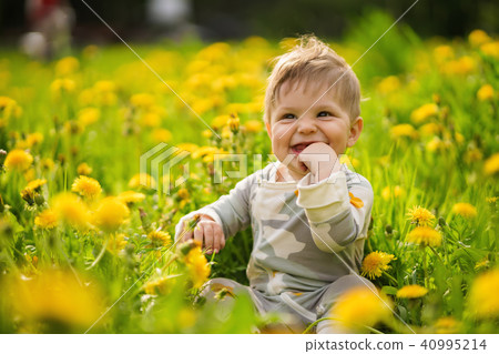 baby playing outdoor in the sunny dandelions field baby playing outdoor in the sunny dandelions field 40995214