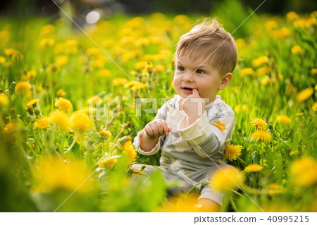 baby playing outdoor in the sunny dandelions field 40995215