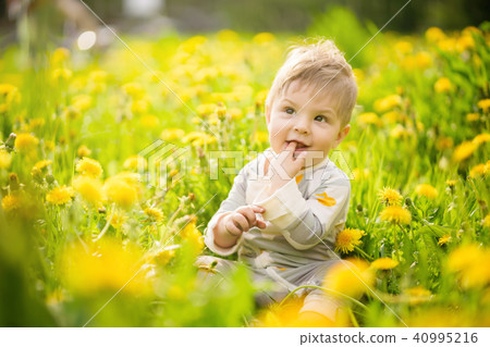 baby playing outdoor in the sunny dandelions field baby playing outdoor in the sunny dandelions field 40995216