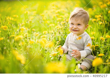 baby playing outdoor in the sunny dandelions field baby playing outdoor in the sunny dandelions field 40995217