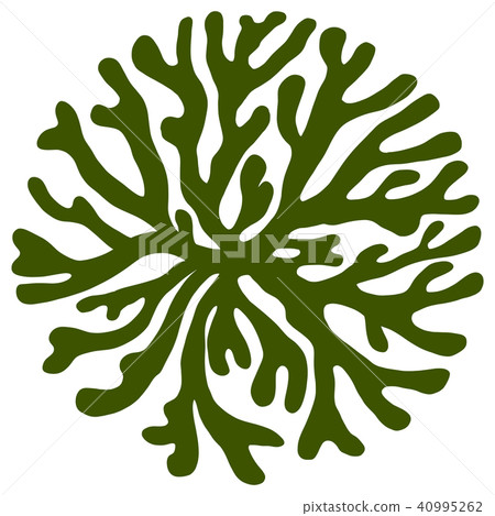 Seaweed Sea Crest (Milomon) Vector material 40995262