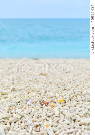 熱帶海 熱帶海 40995454