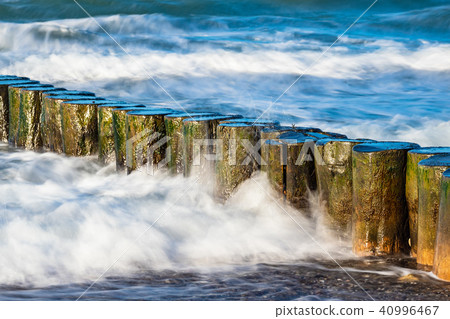 Groynes on shore of the Baltic Sea 40996467