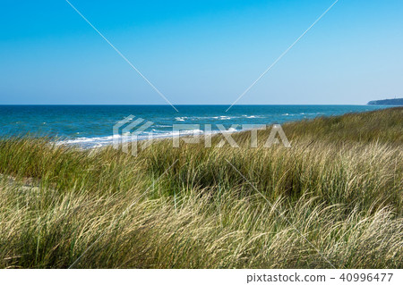 Dune on shore of the Baltic Sea 40996477