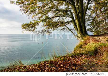 Baltic Sea coast on the island Ruegen, Germany 40996499