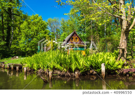 Landscape with cottage in the Spreewald area 40996550
