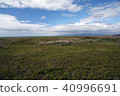 Grassland blue sky Hokkaido 40996691