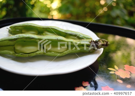 蠶豆 蠶豆 40997657