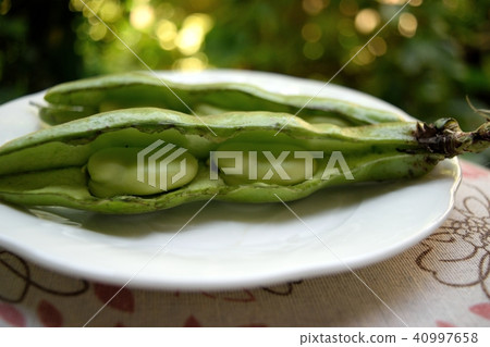 Broad beans Broad beans 40997658