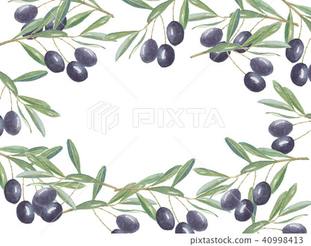 Olive 40998413
