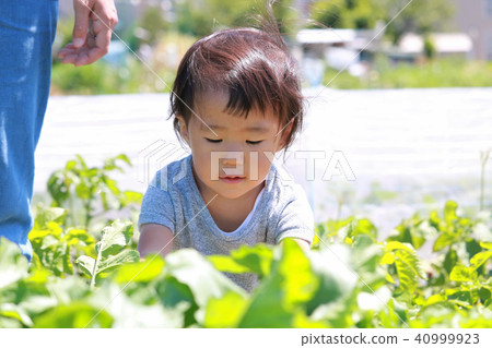 Girls to help in fields Girls to help in fields 40999923