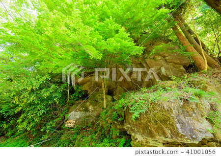 [Oku Bungo, Oita Prefecture] Gokakuji Valley 41001056