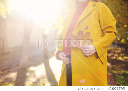 Young pretty pregnant woman at autumn park Young pretty pregnant woman at autumn park 41002795