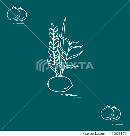 Pomegranate and Lulav - symbolic attribute of the 41003172