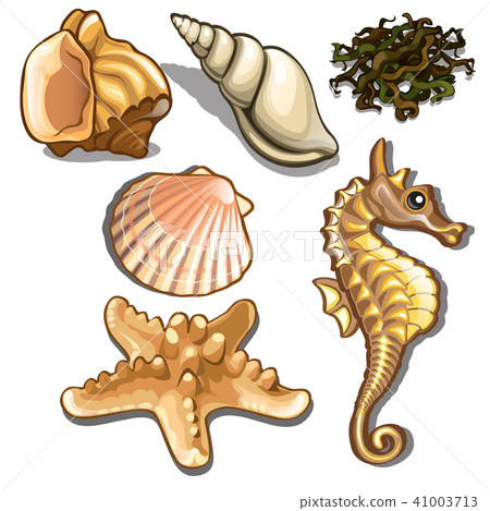 Set of sea animals isolated on white background. Seafood. Vector illustration. Set of sea animals isolated on white background. Seafood. Vector illustration. 41003713