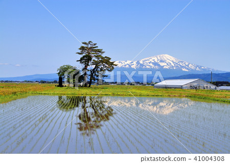 鄉村景觀 41004308