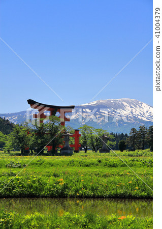 Haguroyama Otorii 41004379