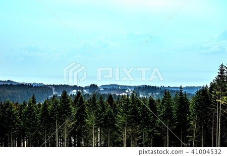 Trappist monastery surrounded by Cryptomeria forest Trappist monastery surrounded by Cryptomeria forest 41004532