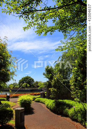 Longing temple swamp park promenade 41004637