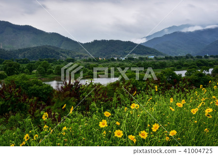 臥室濕地，Seomjin河，Goseong-gun，全南 41004725