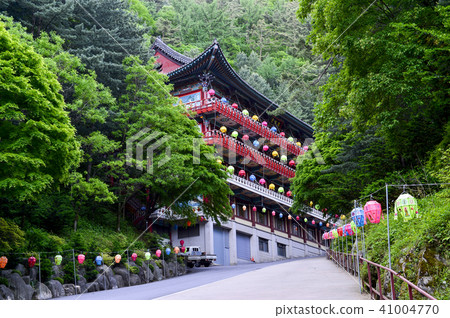 Kyungbuk,Sobaeksan,Danyang,Chungbuk Kyungbuk,Sobaeksan,Danyang,Chungbuk 41004770