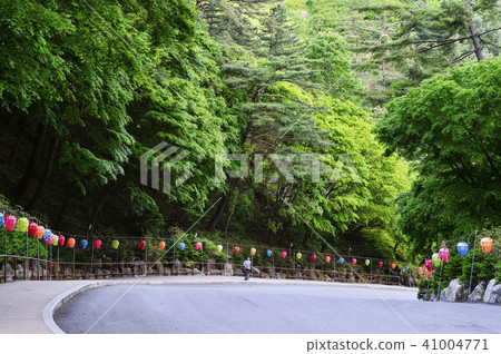 Kyungbuk,Sobaeksan,Danyang,Chungbuk Kyungbuk,Sobaeksan,Danyang,Chungbuk 41004771