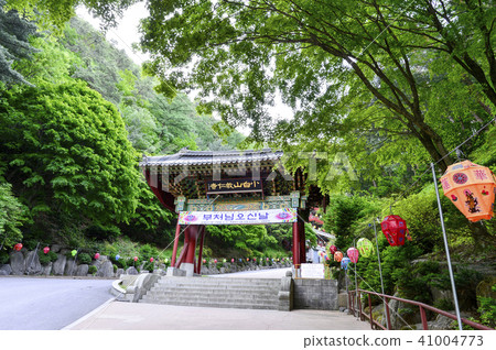 Kyungbuk, Sobaeksan, Danyang, Chungbuk 41004773