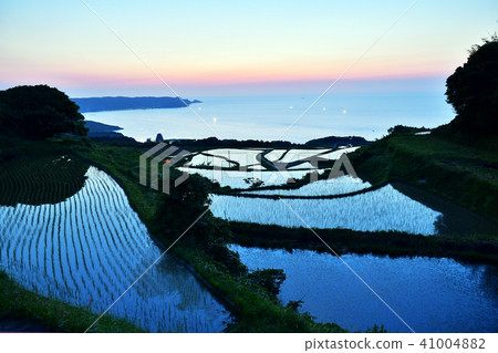 Gradation Toho Ueta Rice Terrace Yunagi 41004882