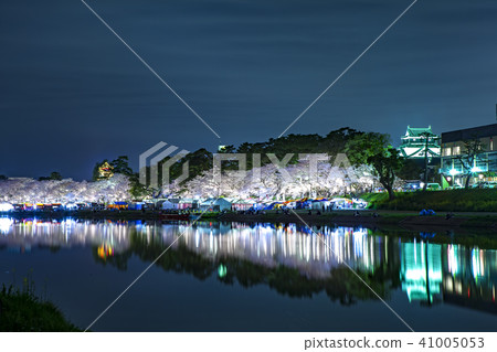 Cherry blossom, Japan. Cherry blossom, Japan. 41005053