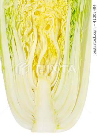 Napa cabbage half. Chinese cabbage. Cross section 41005494