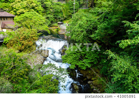 Kikuchi Valley水源和山Kikuchi Valley水源和山 41005891