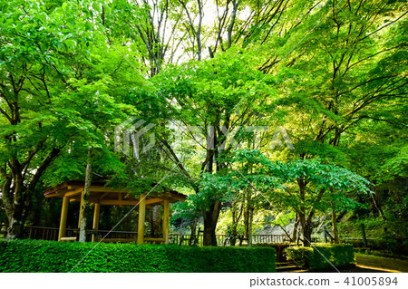 Kikuchi Valley水源和山Kikuchi Valley水源和山 Kikuchi Valley水源和山Kikuchi Valley水源和山 41005894
