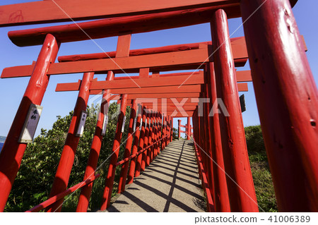 前Nogami Inage神社 41006389