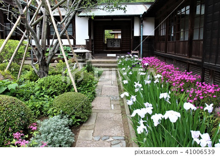 Kaizoji Kaizoji 41006539