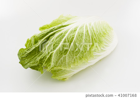 Cabbage cut vegetables Cabbage cut vegetables 41007168