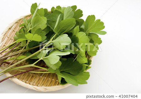 Longevity grass (Button bow fish) 41007404