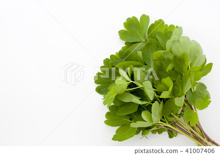 Longevity grass (Button bow fish) 41007406