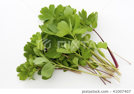 Longevity grass (Button bow fish) 41007407