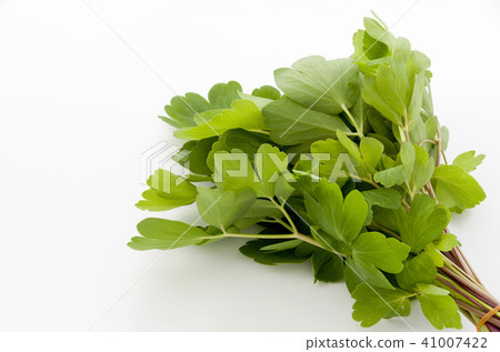 Longevity grass (Button bow fish) Longevity grass (Button bow fish) 41007422