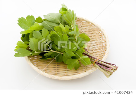 Longevity grass (Button bow fish) 41007424